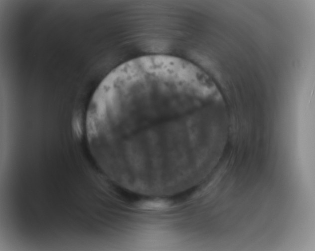 X0000088690069200706282011