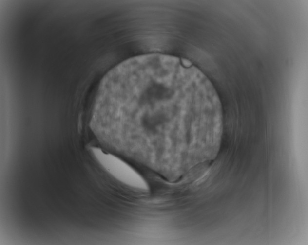 X0000088690070200706282011