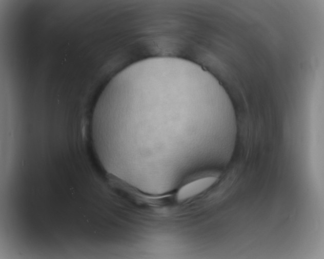 X0000088690071200706282011