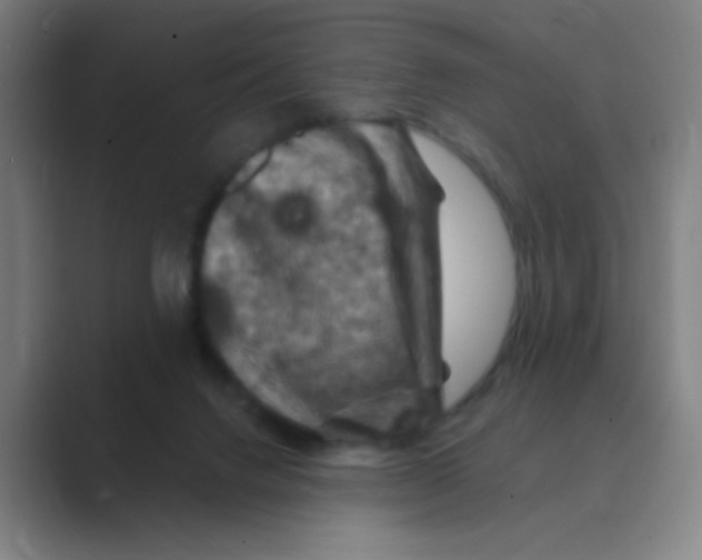 X0000088690072200706282011