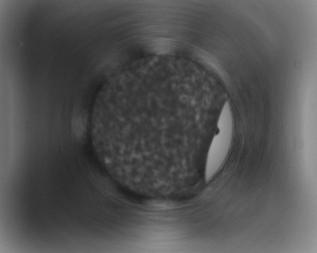 X0000088690073200706282011