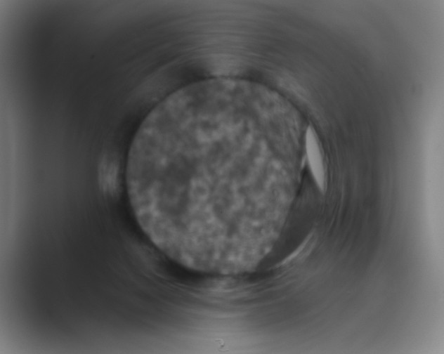 X0000088690074200706282011