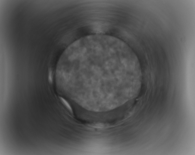 X0000088690075200706282011