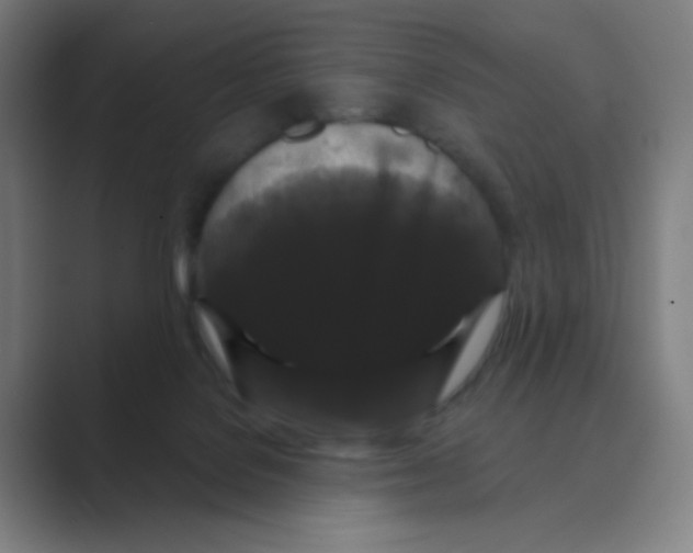 X0000088690076200706282011