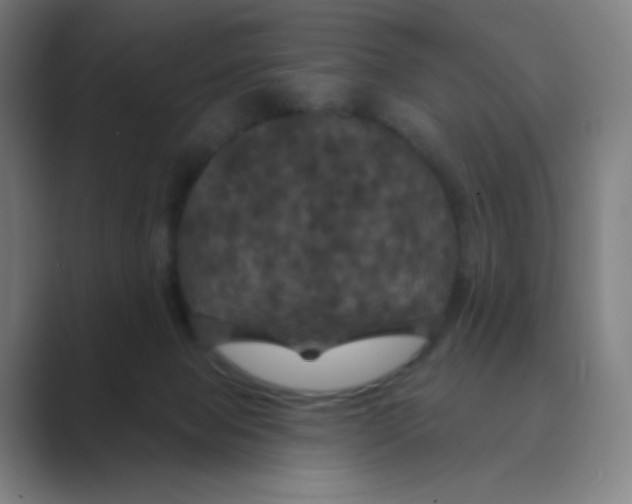 X0000088690077200706282011