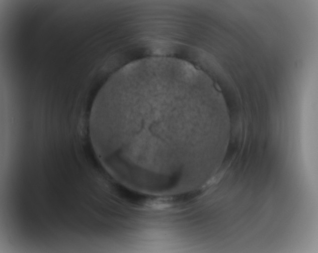X0000088690078200706282011
