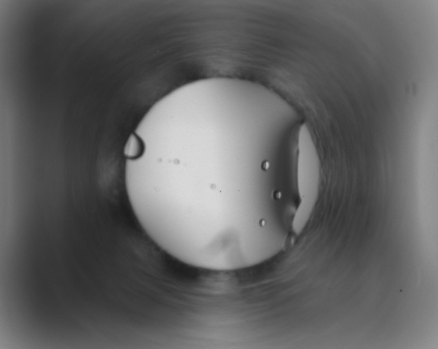 X0000088690079200706282011