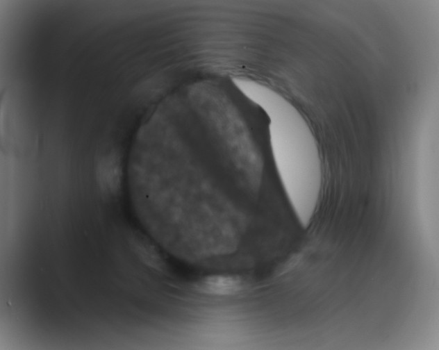 X0000088690080200706282011