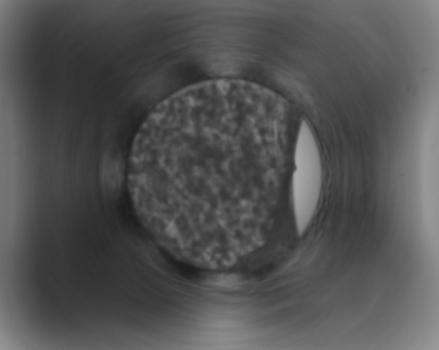 X0000088690081200706282011