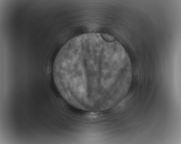 X0000088690082200706282011