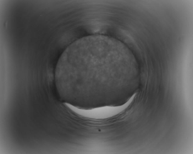 X0000088690085200706282011
