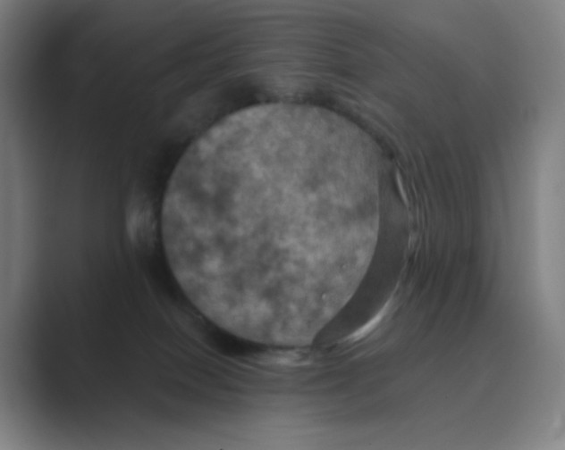 X0000088690086200706282011