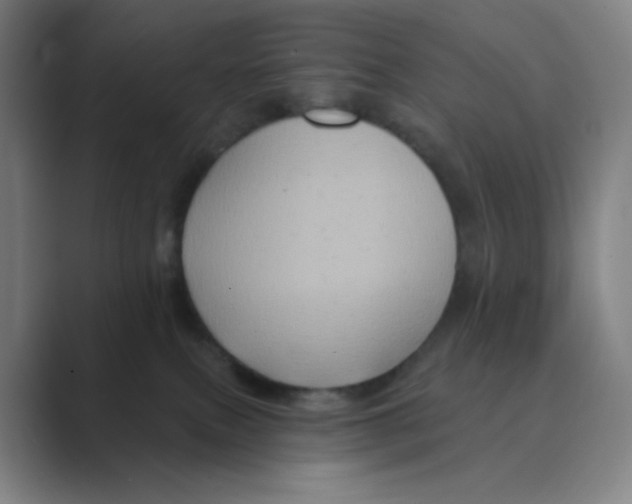X0000088690087200706282011
