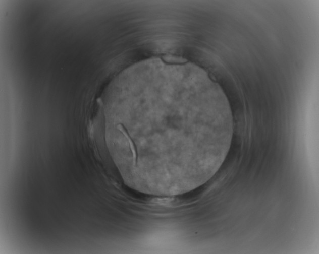 X0000088690089200706282011