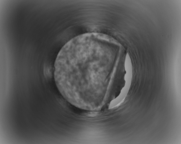 X0000088690090200706282011