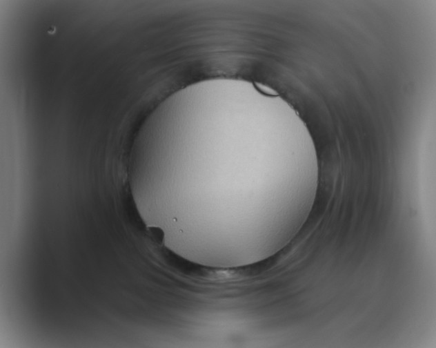 X0000088690091200706282011