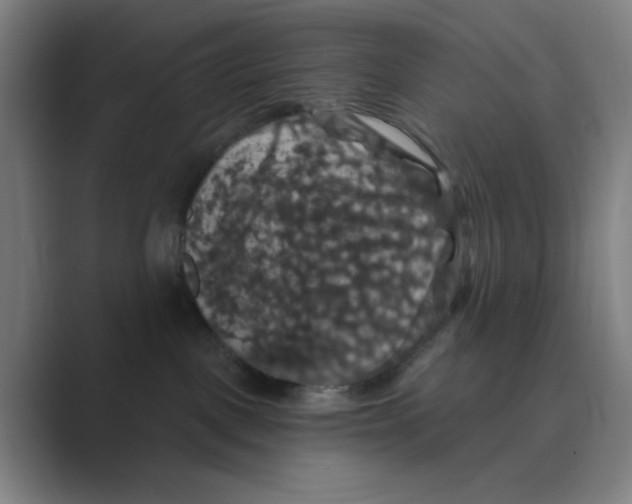 X0000088690093200706282011