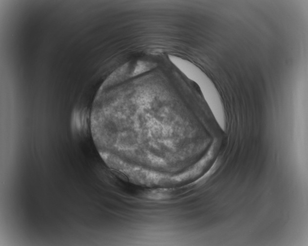 X0000088690094200706282011