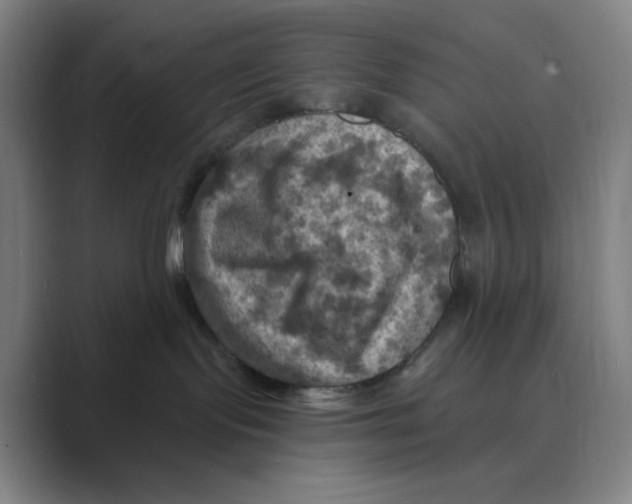 X0000088690095200706282011