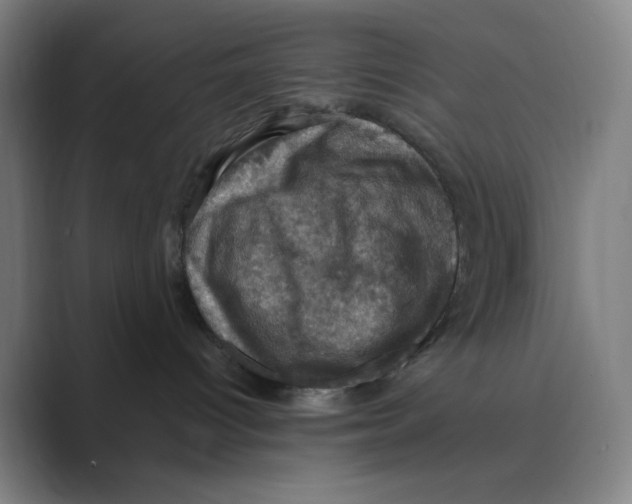 X0000088690096200706282011