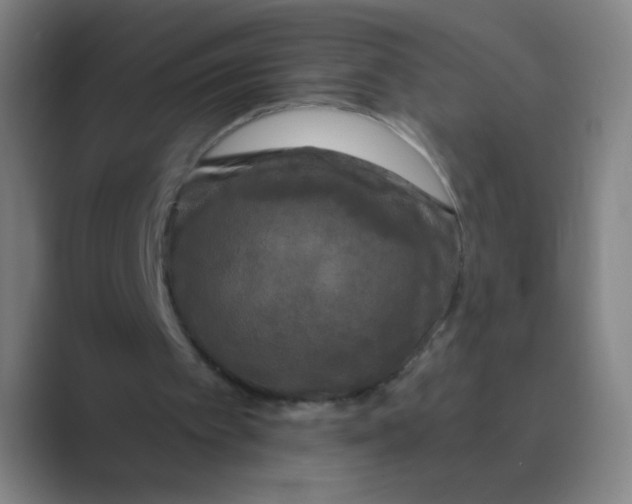 X0000088690097200706282010