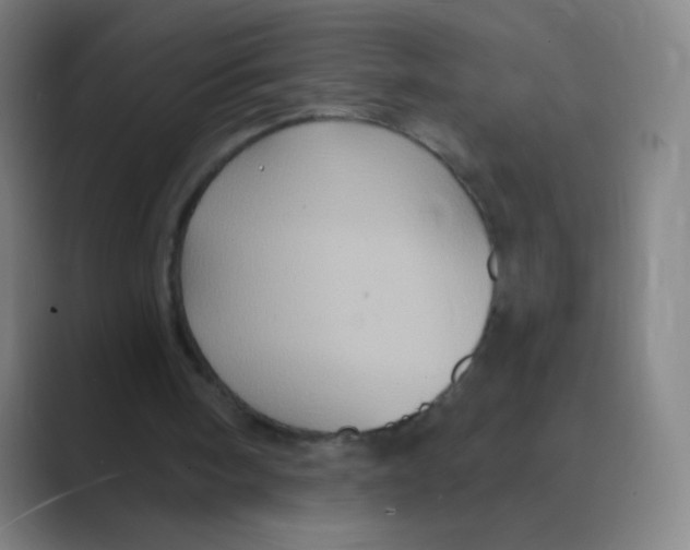 X0000088690098200706282010
