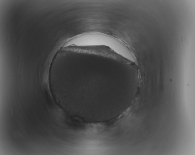 X0000088690099200706282010