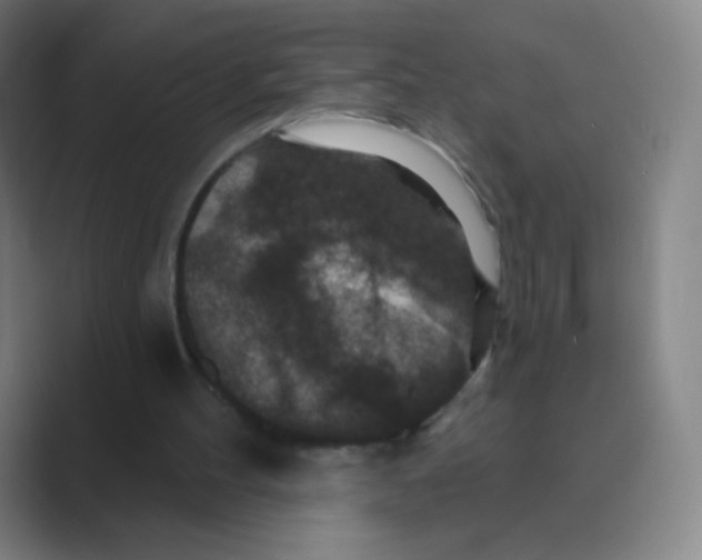 X0000088690100200706282010