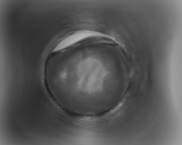 X0000088690101200706282010