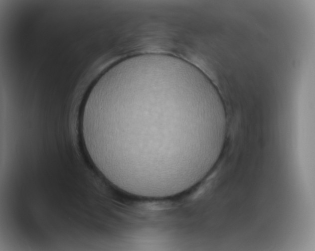 X0000088690103200706282010