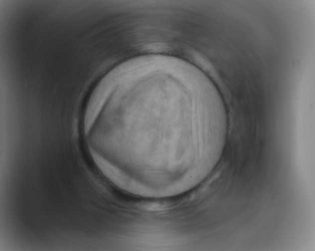 X0000088690106200706282010