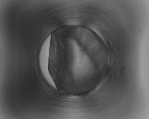 X0000088690109200706282010