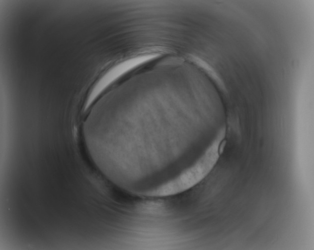 X0000088690110200706282010