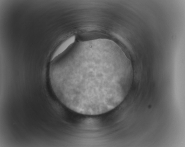 X0000088690111200706282010