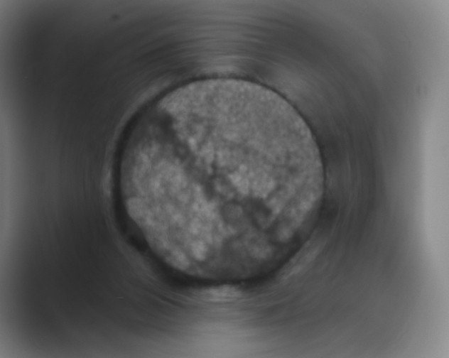 X0000088690112200706282010