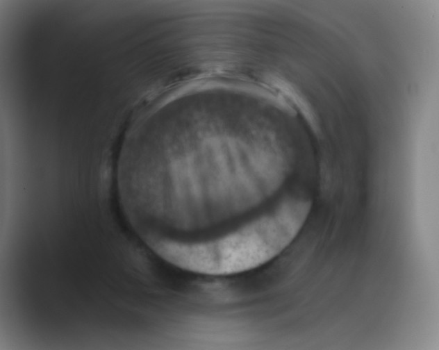 X0000088690113200706282010