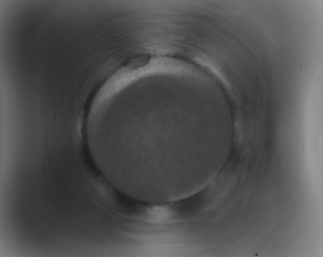 X0000088690114200706282010