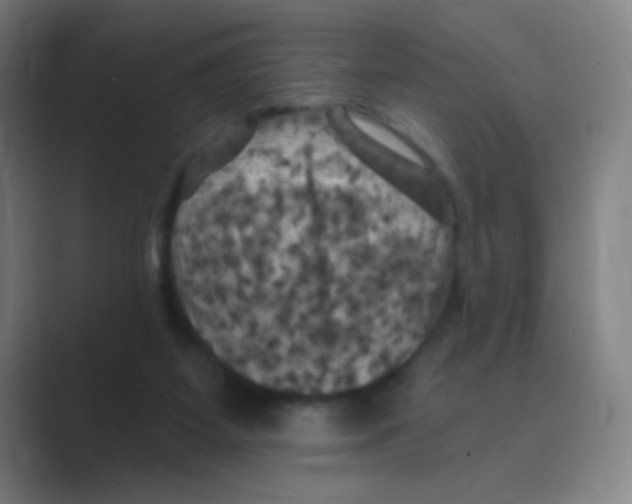 X0000088690115200706282010