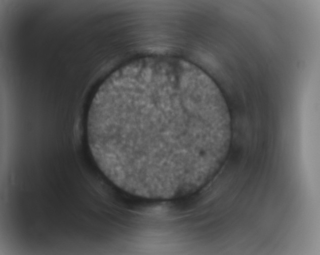 X0000088690116200706282010