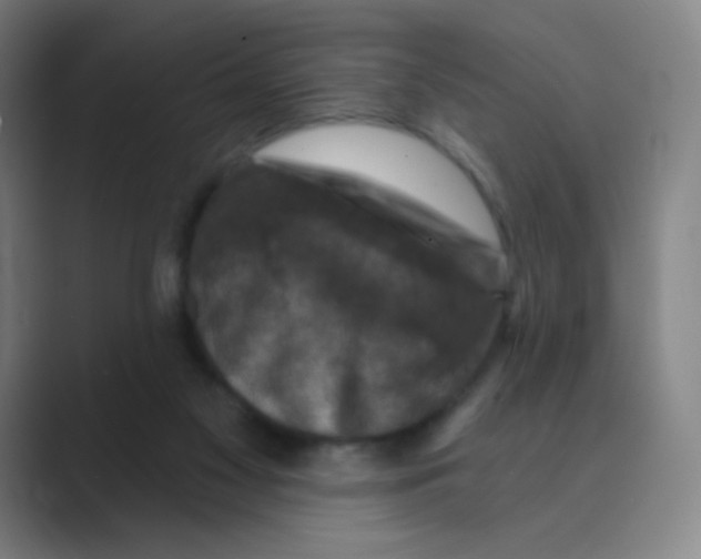 X0000088690117200706282010