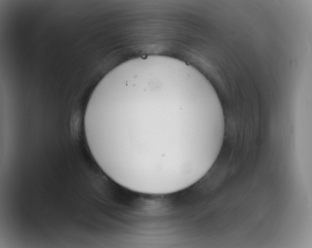 X0000088690118200706282010