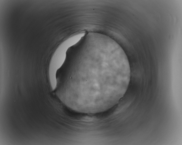 X0000088690119200706282010