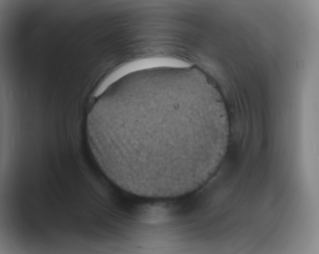 X0000088690120200706282010