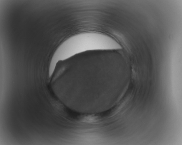 X0000088690121200706282010