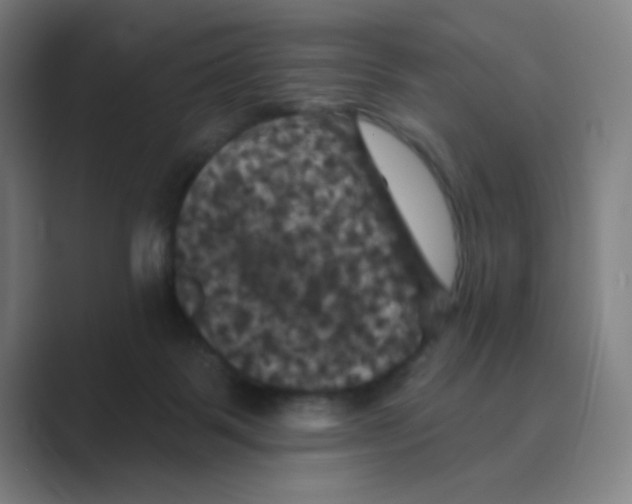 X0000088690123200706282010