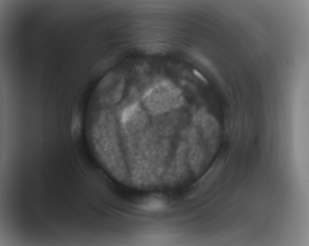 X0000088690124200706282010