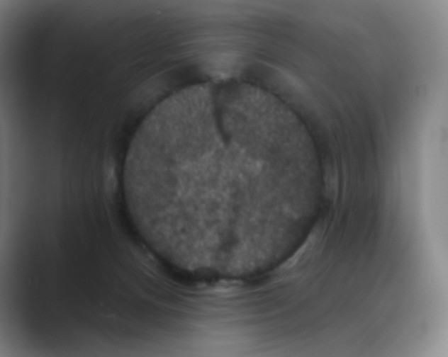X0000088690128200706282010