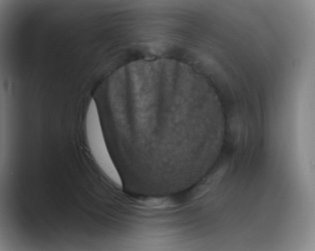 X0000088690129200706282010