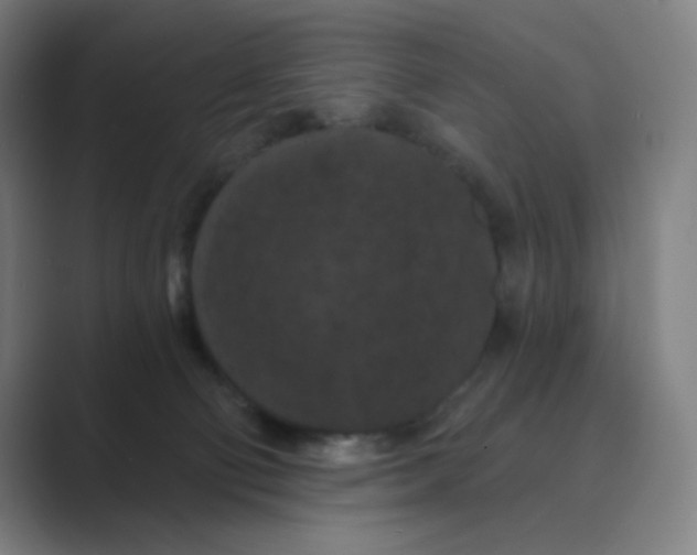 X0000088690130200706282010
