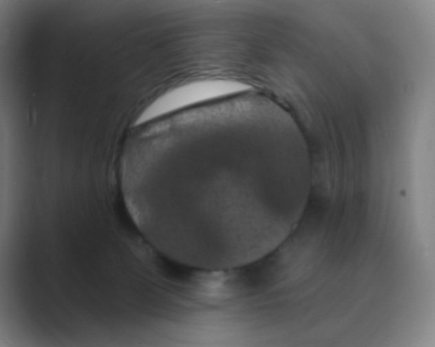 X0000088690131200706282010